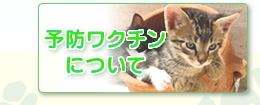 予防ワクチンについて