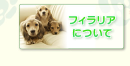 フィラリアについて