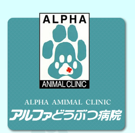 札幌市東区にある動物病院　アルファどうぶつ病院