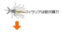 tBA͉Ⴊ}