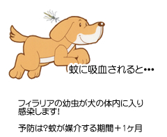 ɋzƥtBA̗c̑̓ɓ芴܂!\h́HႪ}ԁ{1