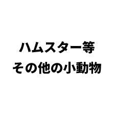 その他の小動物